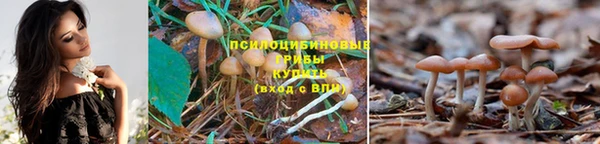 таблы Белоозёрский