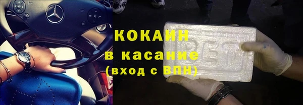 эйфоретик Богданович