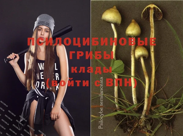 а пвп мука Беломорск