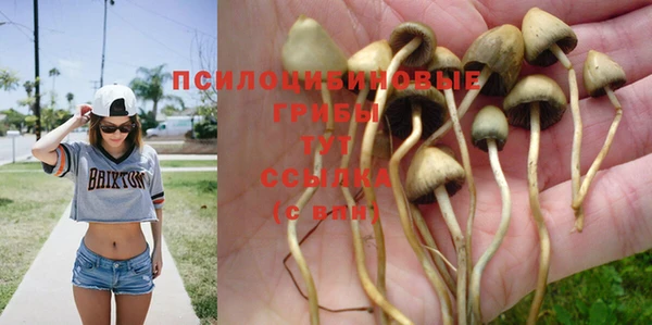 а пвп мука Беломорск