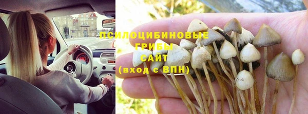 мдма Богородск